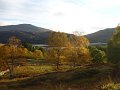 20101024_benvane_michi 007